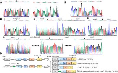 Identification and molecular analysis of 11 cases of the PTS gene variants associated with tetrahydrobiopterin deficiency